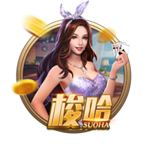 记者：伊萨克倾向于离队，奥蓬达和维萨是纽卡引援目标